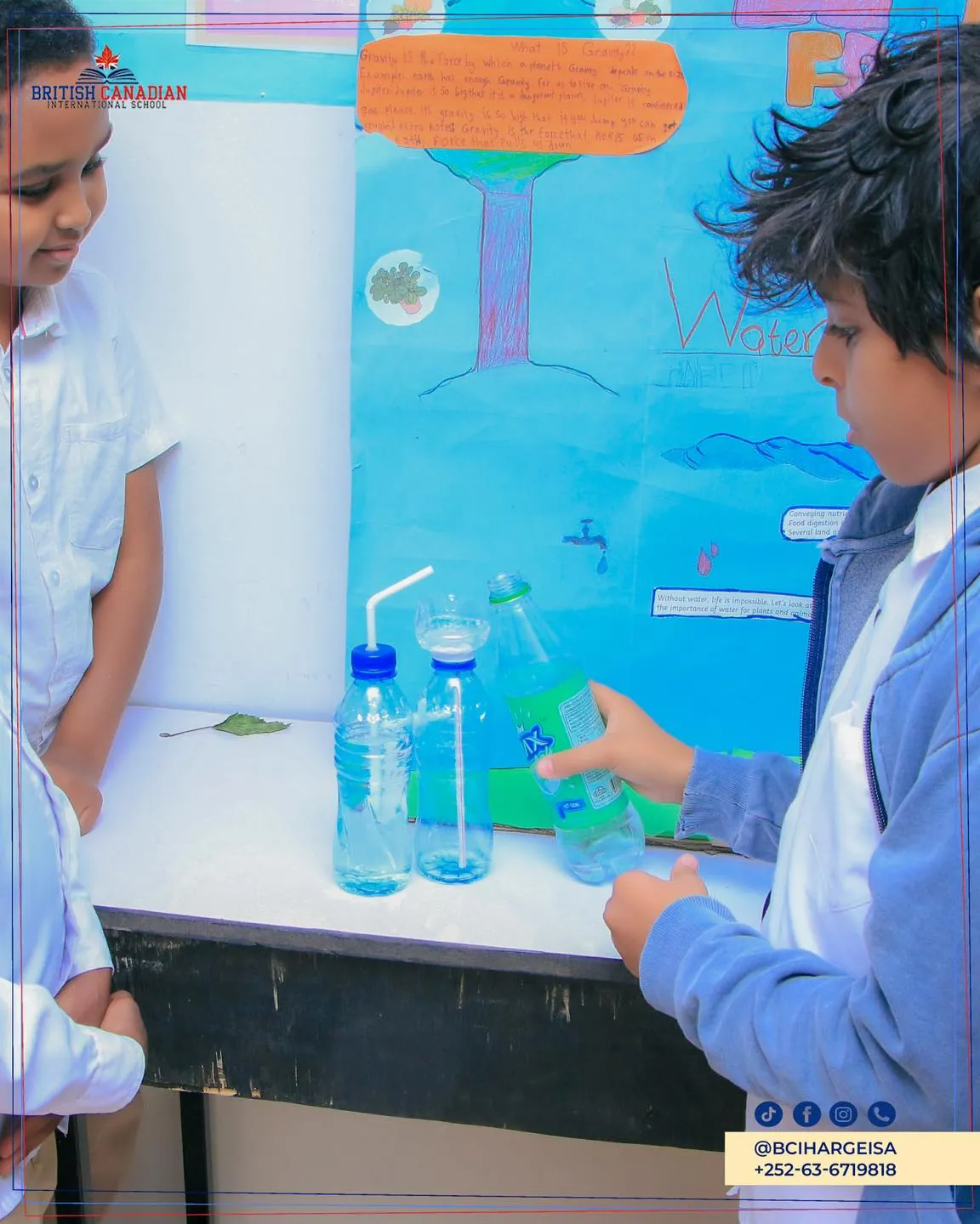 Science Fair Event